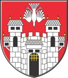 Mestna občina Maribor